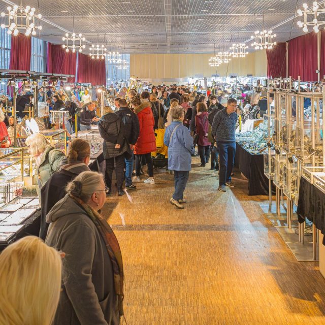 ✨ Edelsteintage Hannover 2026 ✨

In einer Woche ist es soweit!
Am 21. + 22. März verwandelt sich die Glashalle im HCC wieder in ein Paradies für Mineralien- und Schmuckliebhaber.

Über 60 internationale Aussteller präsentieren seltene Mineralien, funkelnde Kristalle, Fossilien, Schmuckstücke und viele besondere Sammlerstücke.

💎 Entdecken
💎 Staunen
💎 Schätze finden

Ein echtes Familienevent:
Kinder bis 14 Jahre haben in Begleitung freien Eintritt.

📍 Glashalle im HCC – Hannover
📅 21.–22.03.2026

Wir freuen uns auf euch! ✨

#edelsteintage #hannover #mineralien #edelsteine #kristalle #fossilien #schmuck #mineralienbörse #edelsteinenergie #familienevent #crystalevents